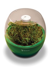Grow Bell