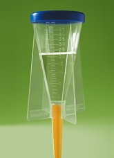 Rain Gauge