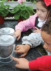 Composter