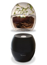 Dark & Clear Grow Bell Set